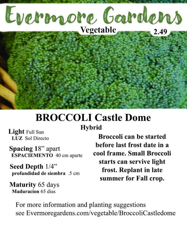 Evermore Gardens Broccoli Castle Dome Broccoli Hybrid Seeds