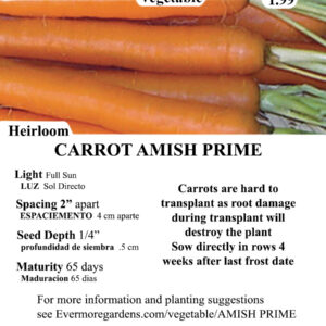 Evermore Gardens Carrot Amish Prime Carrot Amish Prime Heirloom Seeds