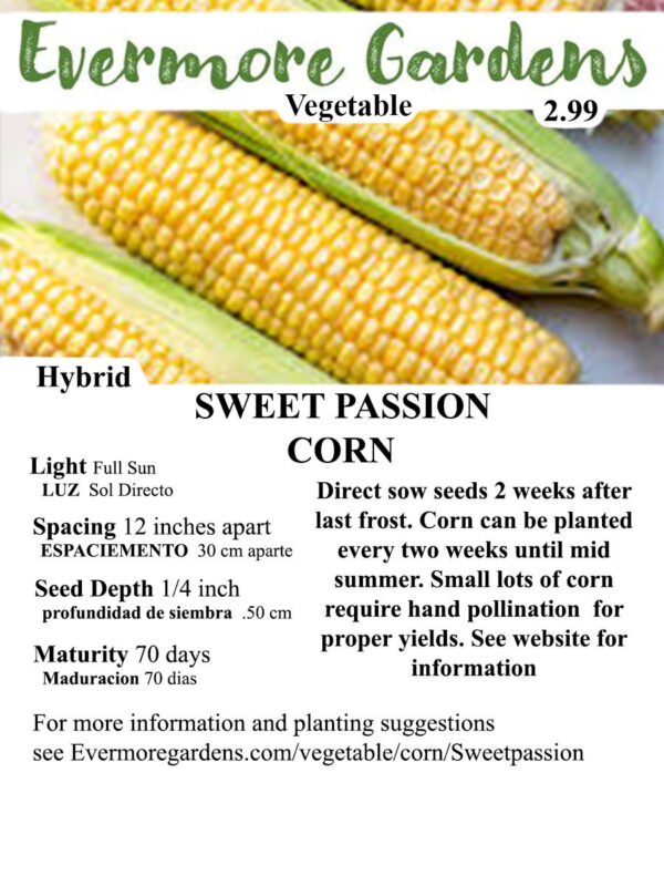 Evermore Gardens Sweet Passion Corn Sweet Passion Corn Hybrid Seeds