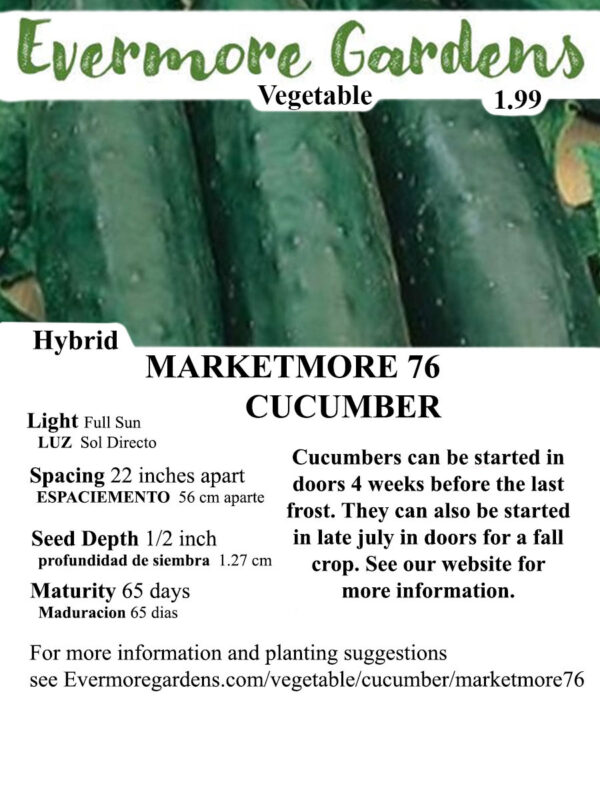 Evermore Gardens Marketmore 76 Cucumber Marketmore 76 Cucumber Hybrid Seeds