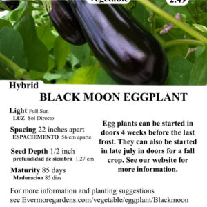 Evermore Gardens Black Moon Eggplant Black Moon Eggplant Hybrid Seeds