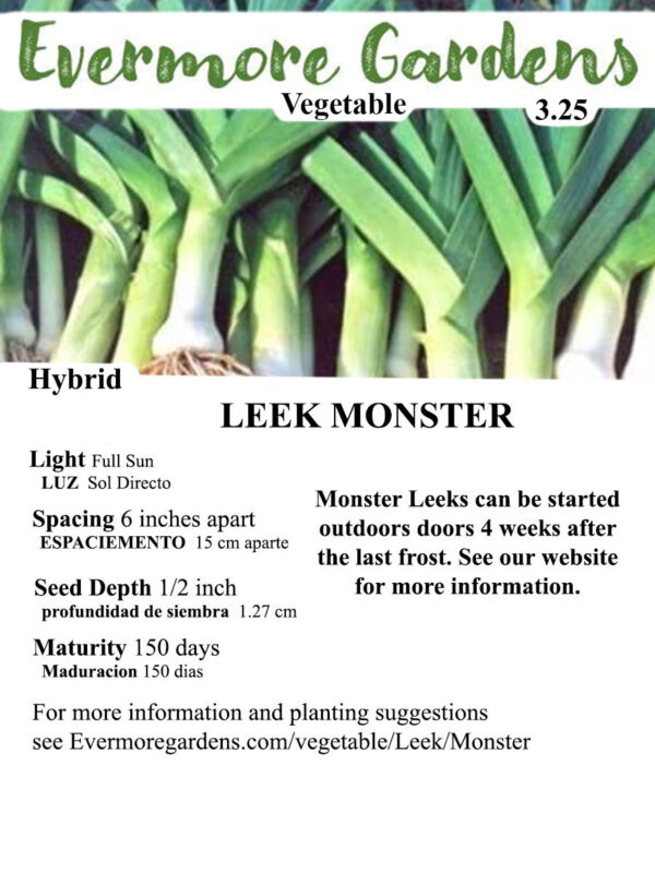 Evermore Gardens Monster Leek Monster Leek Hybrid Seeds