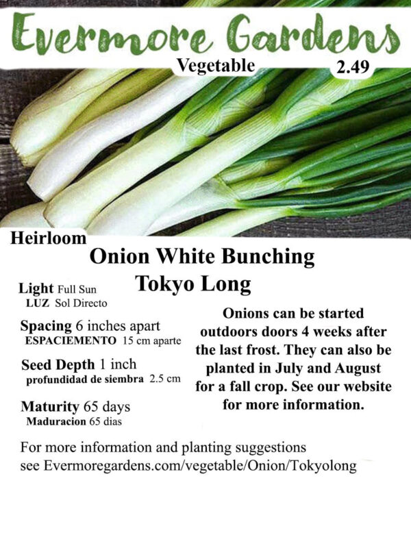 Evermore Gardens White Bunching Tokyo Long Onion Heirloom Seeds
