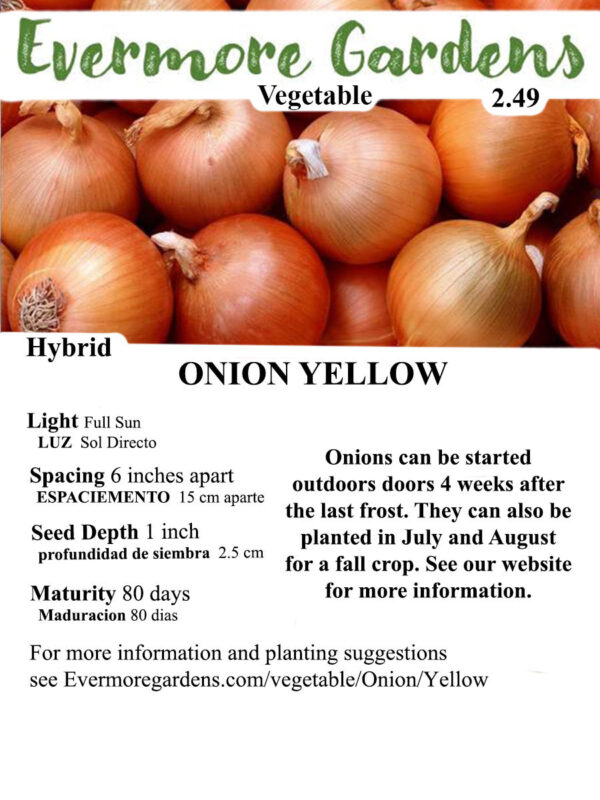Evermore Gardens Yellow Onion Yellow Onion Hybrid Seeds