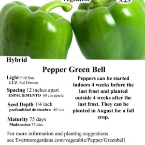 Evermore Gardens Green Bell Pepper Green Bell Pepper Hybrid Seeds
