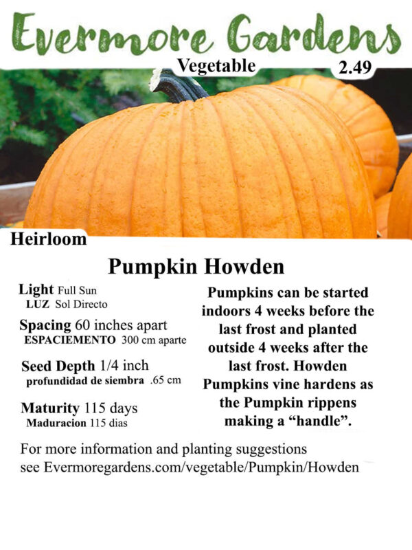 Evermore Gardens Howden Pumpkin Howden Pumpkin Heirloom Seeds