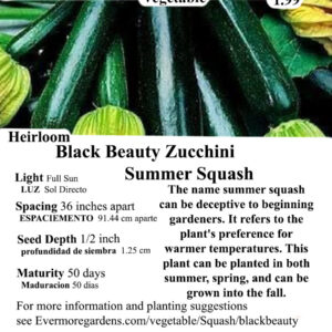Evermore Gardens Black Beauty Zucchini ( Summer Squash ) Black Beauty Zucchini ( Summer Squash ) Heirloom Seeds