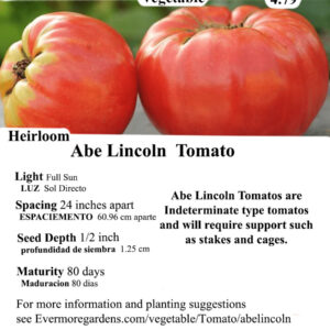 Evermore Gardens Abe Lincoln Tomato Abe Lincoln Tomato Heirloom Seeds