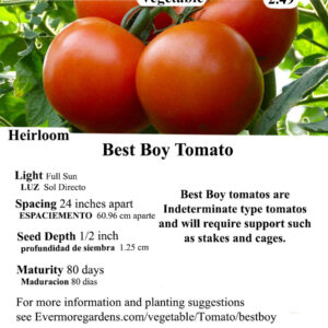 Evermore Gardens Best Boy Slicer Tomato Best Boy Slicer Tomato Heirloom Seeds