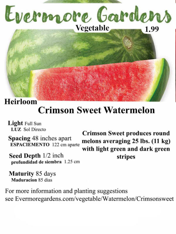Evermore Gardens Crimson Sweet Watermelon Crimson Sweet Watermelon Heirloom Seeds