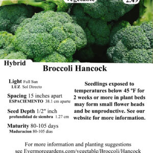 Evermore Gardens Hancock Broccoli Hybrid Seeds