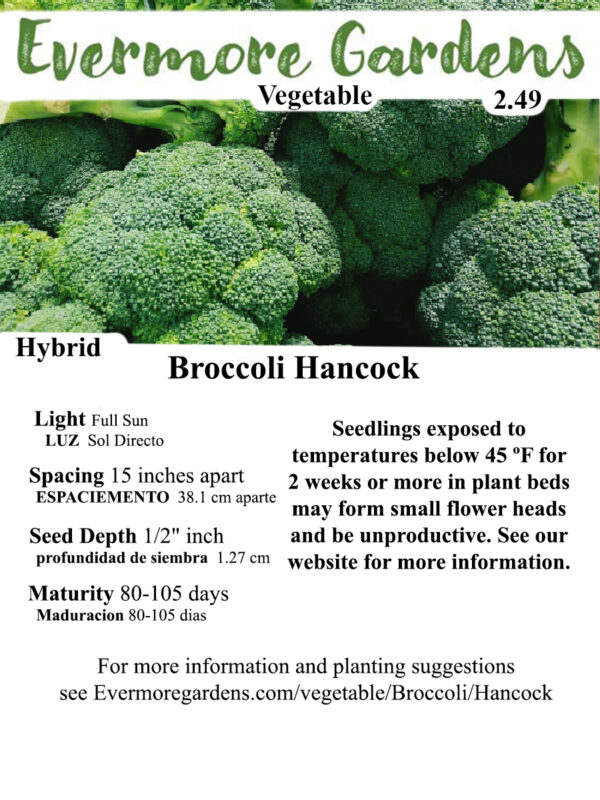 Evermore Gardens Hancock Broccoli Hybrid Seeds