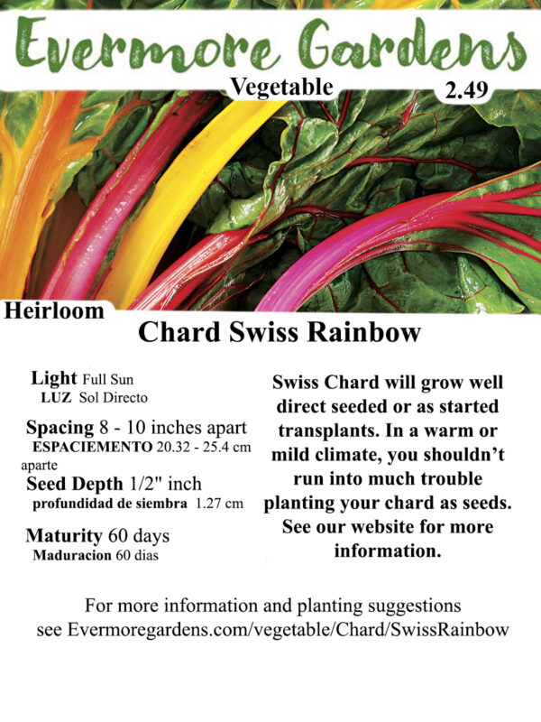 Evermore Gardens Rainbow Swiss Chard Heirloom Seeds