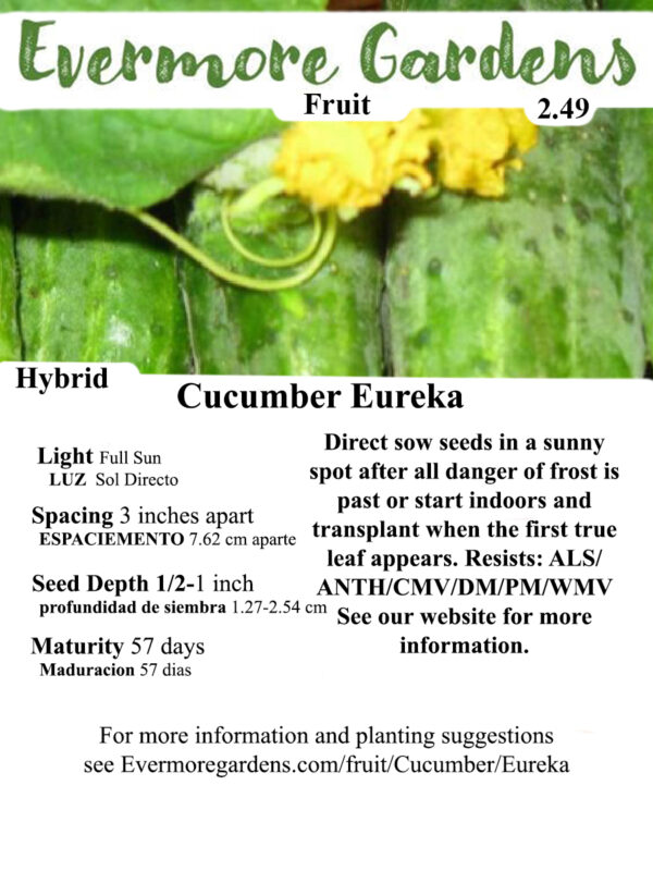 Evermore Gardens Eureka Hybrid - Pickling Cucumber Hybrid Seeds