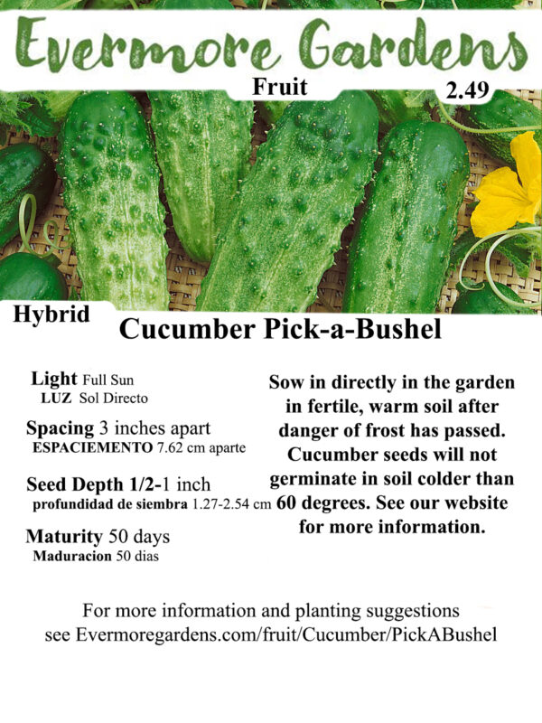 Evermore Gardens Pick-a-Bushel Cucumber Hybrid Seeds