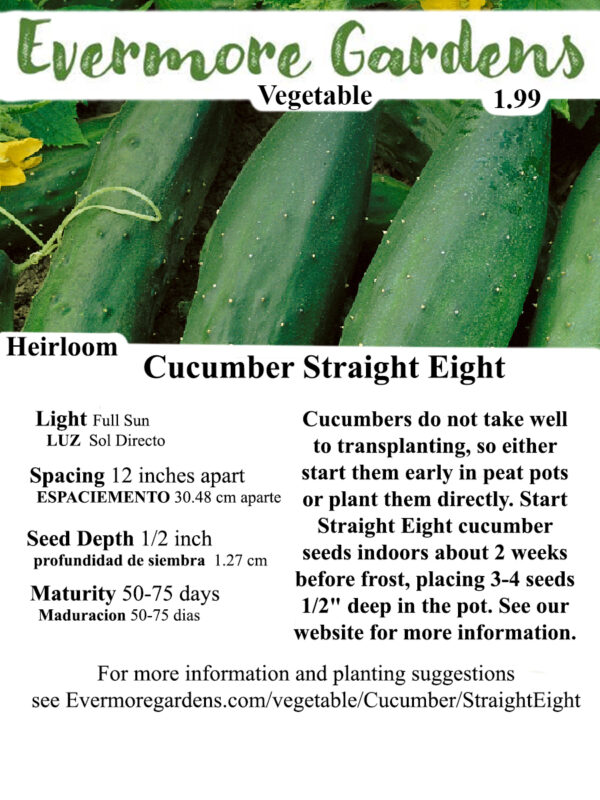 Evermore Gardens Straight Eight - Slicing cucumber Heirloom Seeds