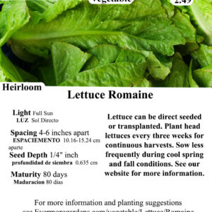 Evermore Gardens Romaine Lettuce -Green Lettuce Heirloom Seeds