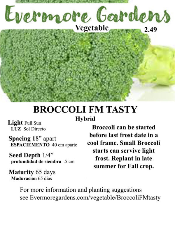 Evermore Gardens Broccoli FM Tasty Broccoli Hybrid Seeds