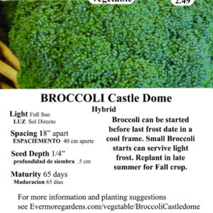 Evermore Gardens Broccoli Castle Dome Broccoli Hybrid Seeds