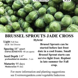 Evermore Gardens Brussel Sprouts Jade Cross Brussel Sprouts Hybrid Seeds