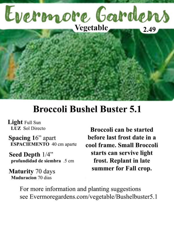 Evermore Gardens Broccoli Bushel Buster Broccoli Hybrid Seeds