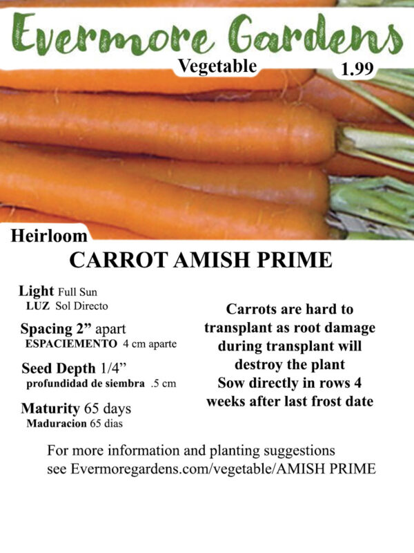 Evermore Gardens Carrot Amish Prime Carrot Amish Prime Heirloom Seeds