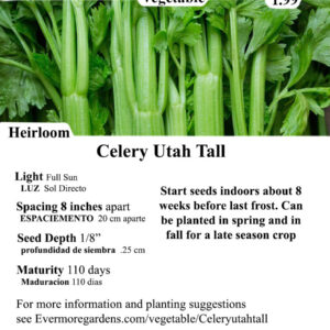 Evermore Gardens Celery Utah Tall Celery Utah Tall Heirloom Seeds