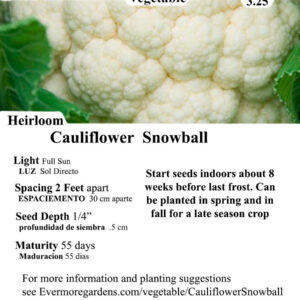 Evermore Gardens Cauliflower Snowball Cauliflower Snowball Heirloom Seeds