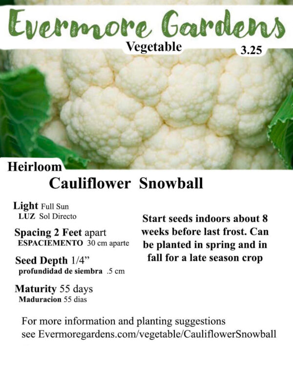 Evermore Gardens Cauliflower Snowball Cauliflower Snowball Heirloom Seeds