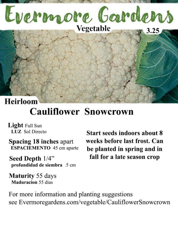Evermore Gardens Cauliflower Snowcrown Cauliflower Snowcrown Heirloom Seeds