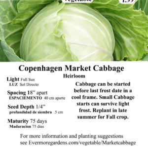 Evermore Gardens Copenhagen Market Cabbage Copenhagen Market Cabbage Heirloom Seeds