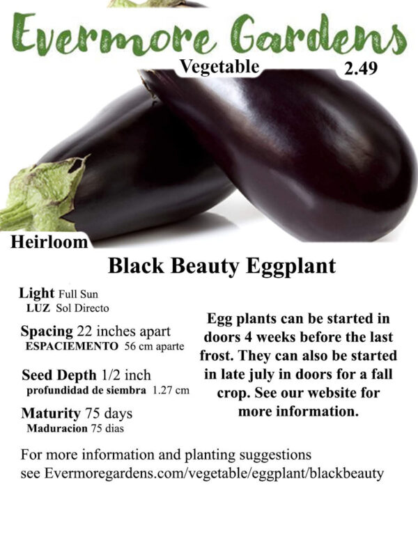 Evermore Gardens Black Beauty Eggplant Black Beauty Eggplant Heirloom Seeds