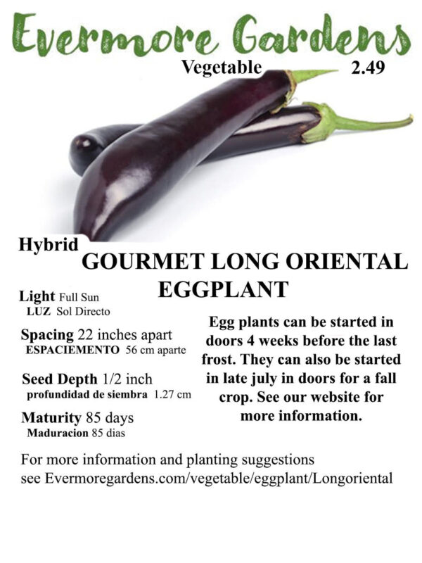 Evermore Gardens Gourmet Long Oriental Eggplant Hybrid Seeds