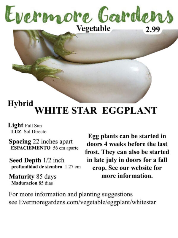 Evermore Gardens White Star Eggplant White Star Eggplant Hybrid Seeds