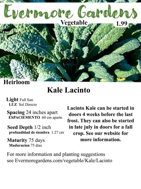 Evermore Gardens Lacinto Kale Lacinto Kale Hybrid Seeds