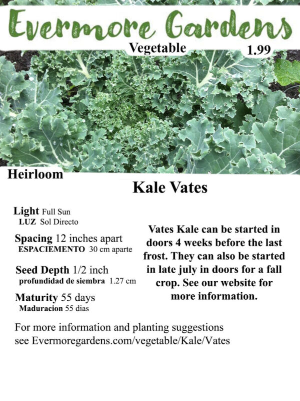 Evermore Gardens Vates Kale Vates Kale Heirloom Seeds Light