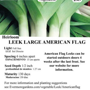 Evermore Gardens Large American Flag Leek Large American Flag Leek Heirloom Seeds