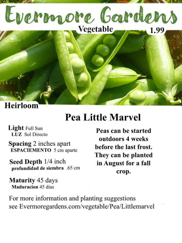 Evermore Gardens Little Marvel Pea Little Marvel Pea Heirloom Seeds
