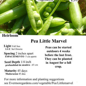 Evermore Gardens Little Marvel Pea Little Marvel Pea Heirloom Seeds