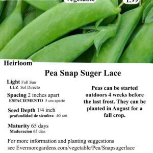 Evermore Gardens Introduce delicious sweetness to your garden with our Snap Sugar Lace Pea. This heirloom variety is known for its sweet flavor and high yields. Easy to grow and requires minimal maintenance
