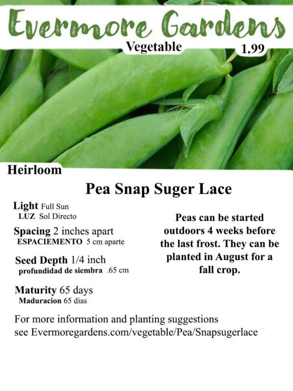 Evermore Gardens Snap Sugar Lace Pea Snap Sugar Lace Pea Heirloom Seeds