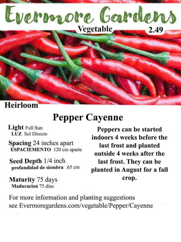 Evermore Gardens Cayenne Pepper Cayenne Pepper Heirloom Seeds