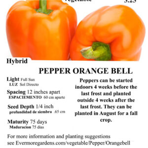 Evermore Gardens Orange Bell Pepper Orange Bell Pepper Hybrid Seeds
