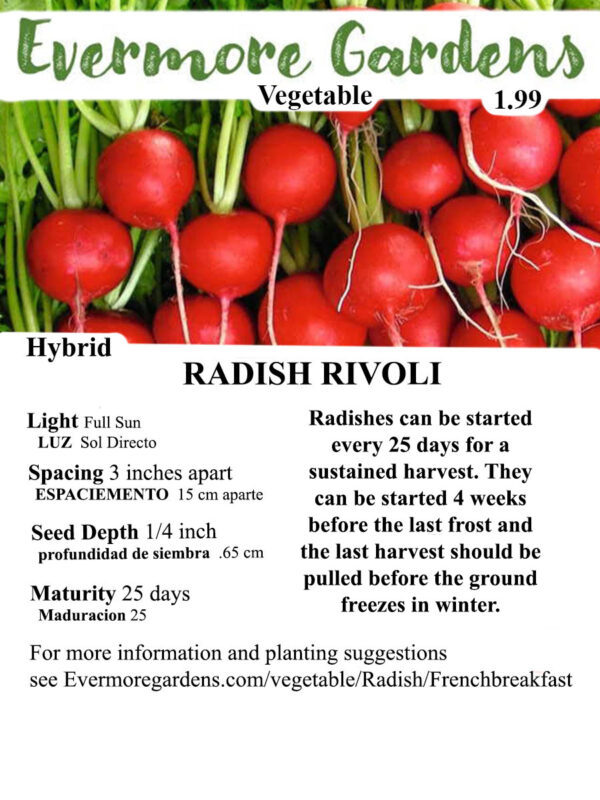 Evermore Gardens Rivoli Radish Rivoli Radish Hybrid Seeds