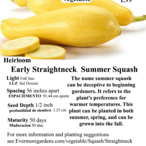 Evermore Gardens Resister Straightneck Summer Squash First Pick Straightneck Summer Squash Hybrid Seeds