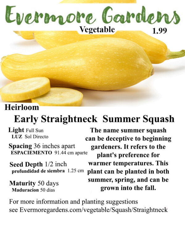 Evermore Gardens Resister Straightneck Summer Squash First Pick Straightneck Summer Squash Hybrid Seeds
