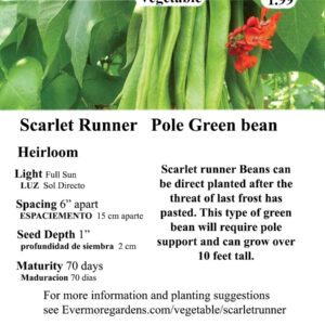 Evermore Gardens Scarlet Runner Green Bean Scarlet Runner Green Bean Heirloom Seeds