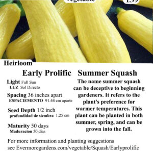 Evermore Gardens Early Prolific Summer Squash Early Prolific Summer Squash Heirloom Seeds