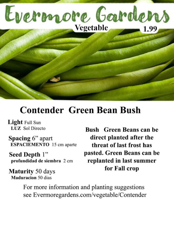Evermore Gardens Green Bean Contender Green Bean Contender Heirloom Seeds