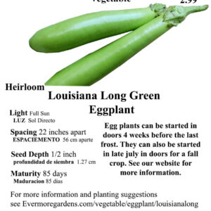 Louisiana Long Green Eggplant Seeds from Evermore Gardens